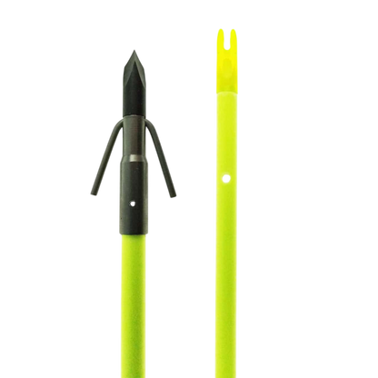 Chartreuse Gar Arrow