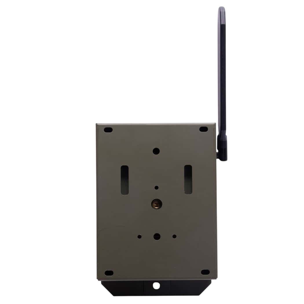 Wireless hunting trail camera with antenna for remote monitoring and wildlife observation.