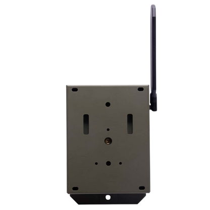 Wireless hunting trail camera with antenna for remote monitoring and wildlife observation.
