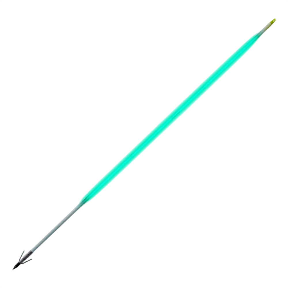 Archery target with Carbon Express arrows