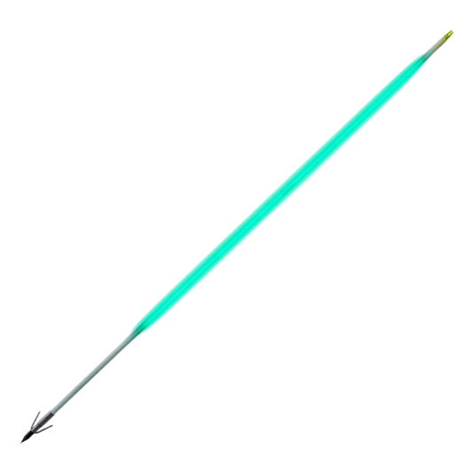 Archery target with Carbon Express arrows