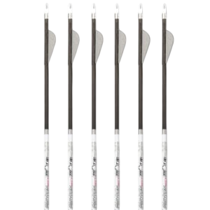 Photon arrow six-pack