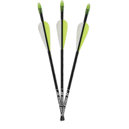 Carbon Express D-Stroyer arrows