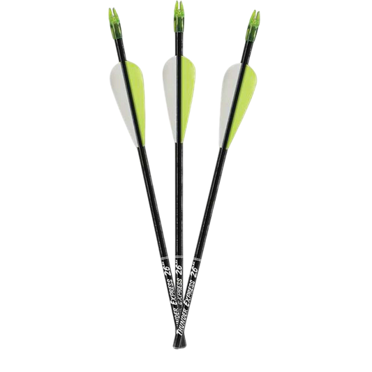 Carbon Express D-Stroyer arrows