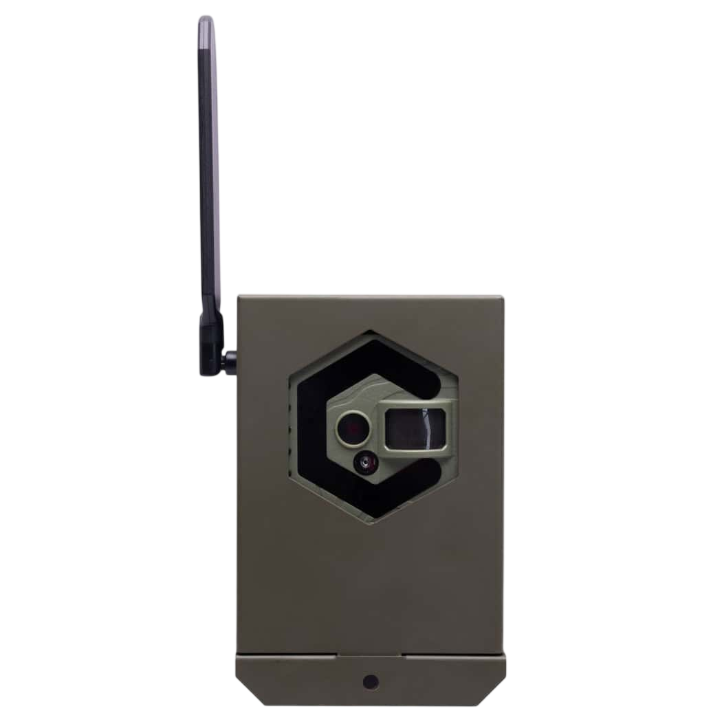 Wireless trail camera with antenna for outdoor hunting surveillance.