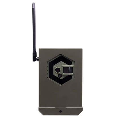 Wireless trail camera with antenna for outdoor hunting surveillance.