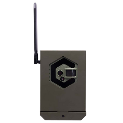 Wireless trail camera with antenna for outdoor hunting surveillance.