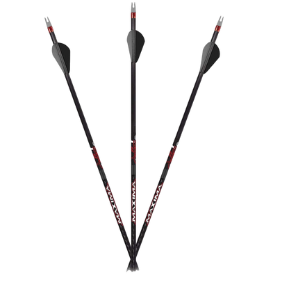 Ultra-quiet carbon hunting arrows with replaceable tips for bowhunting and archery accuracy.