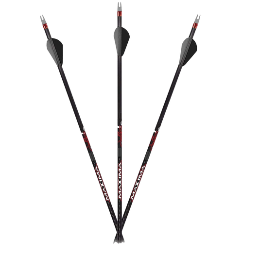 Ultra-quiet carbon hunting arrows with replaceable tips for bowhunting and archery accuracy.