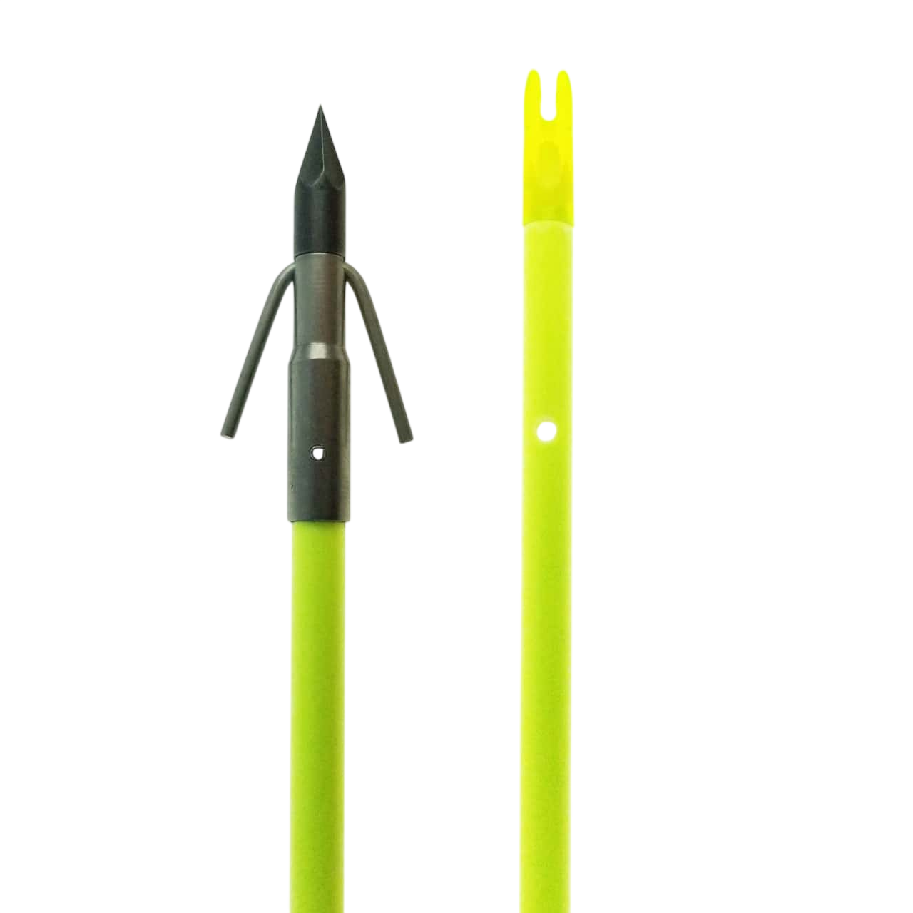 Chartreuse Carp Arrow