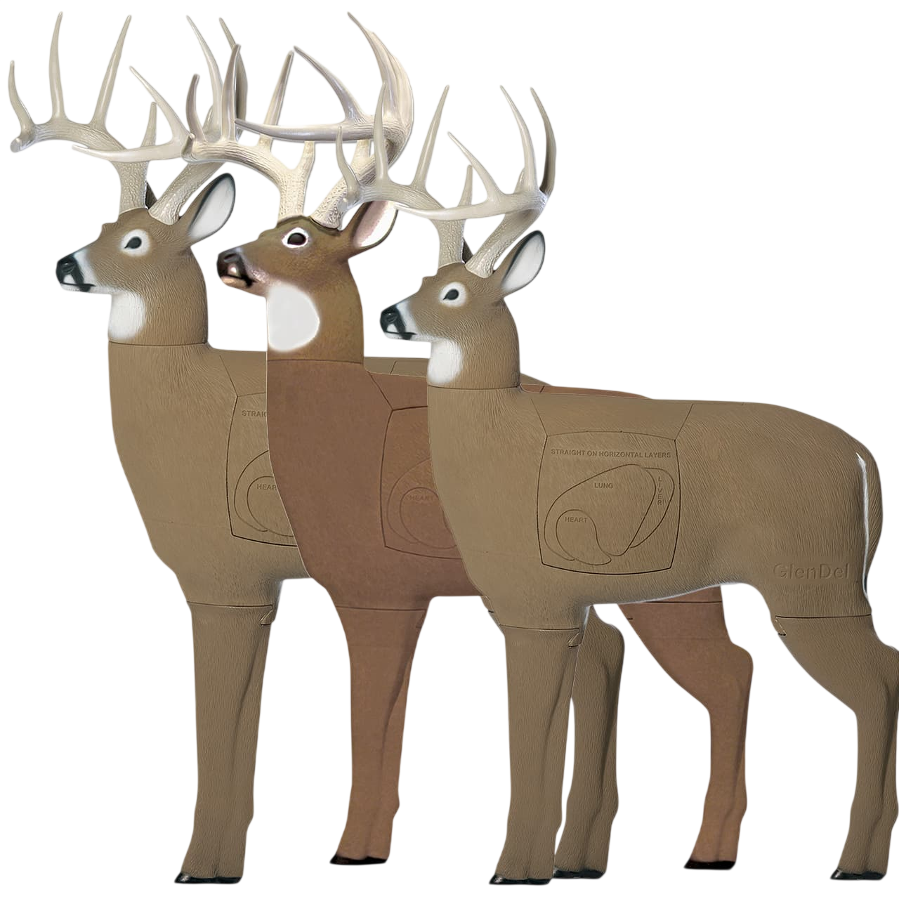 Realistic foam deer target dolls with detailed anatomy for archery practice.