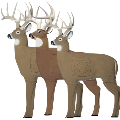 Realistic foam deer target dolls with detailed anatomy for archery practice.