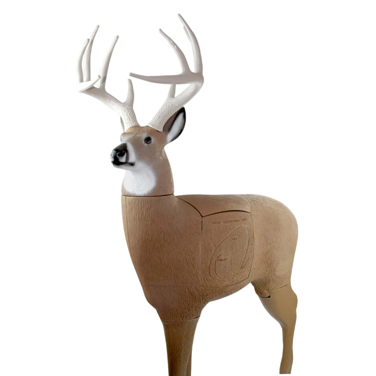 Quartering Crossbow Buck