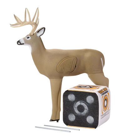 Realistic foam deer target with archery practice setup and foam target block for bowhunting training.