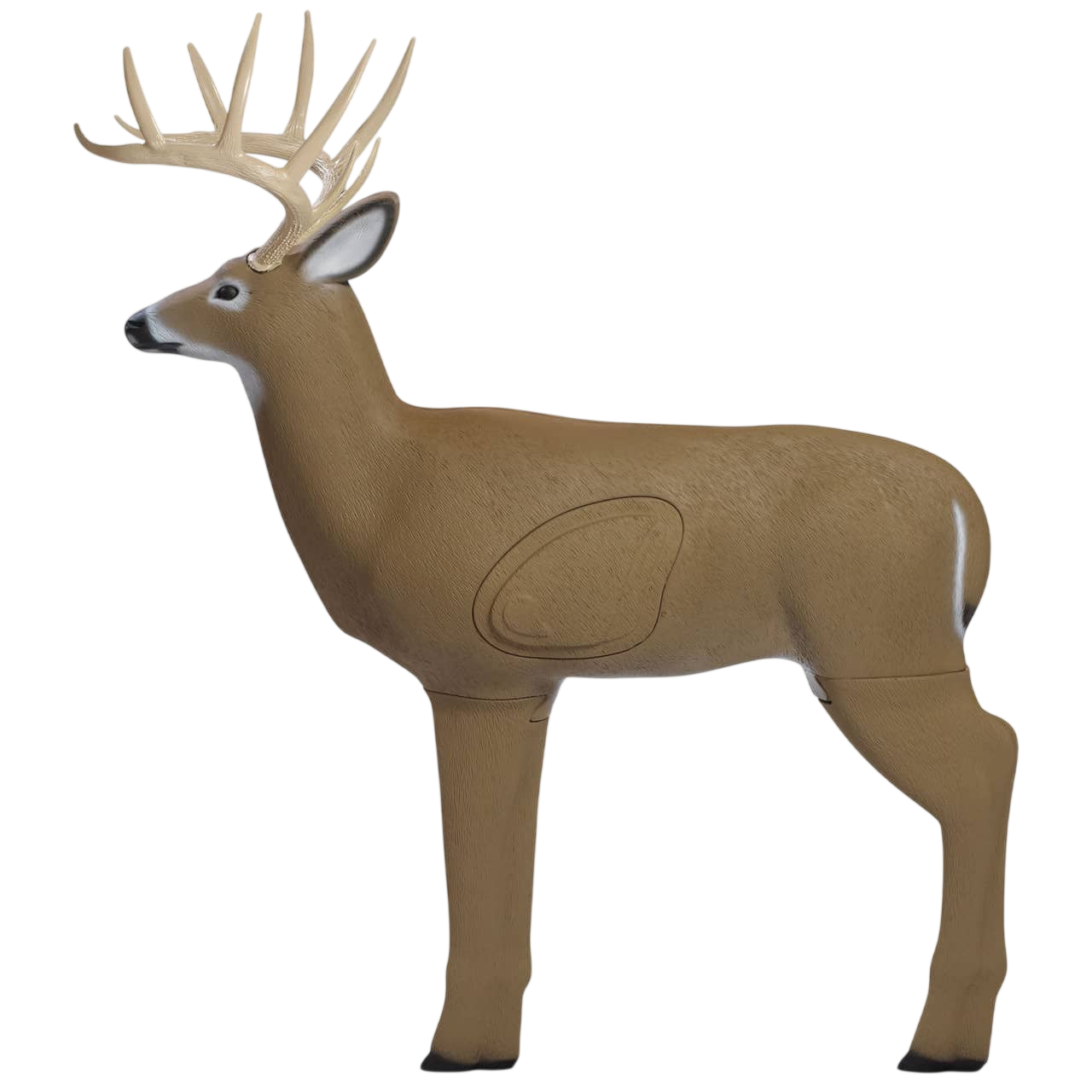 Shooter Buck
