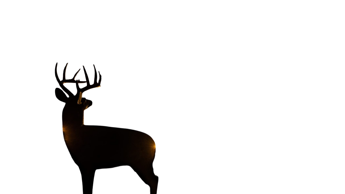 Silhouette of a deer at night in a wooded outdoor setting with cabin lights and a bright moon.