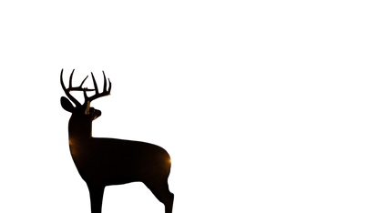 Silhouette of a deer at night in a wooded outdoor setting with cabin lights and a bright moon.