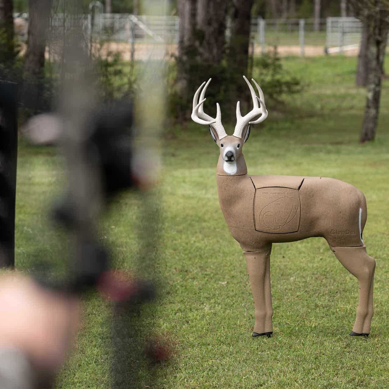 Glendel Buck - Thumbnail 3