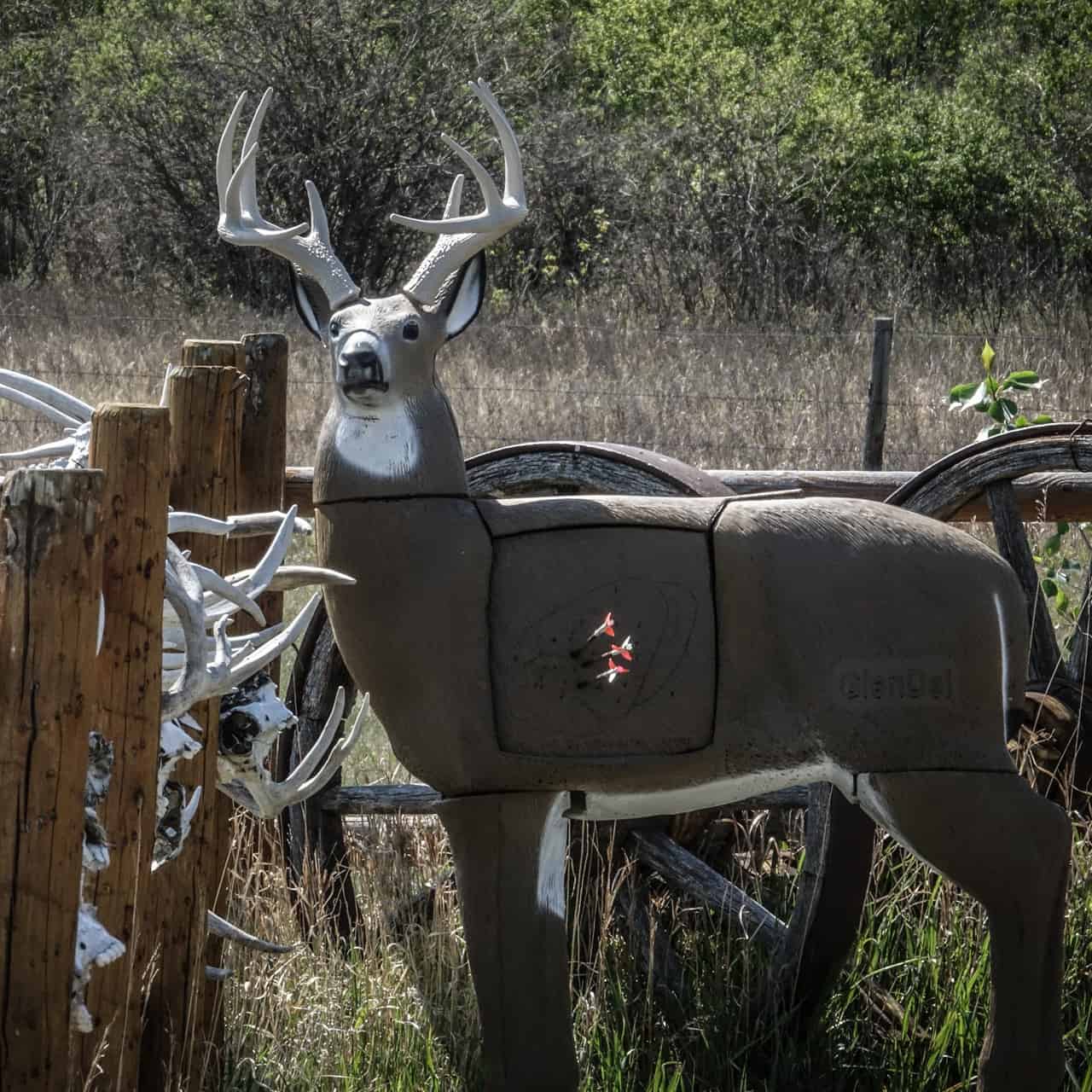 Glendel Buck - Thumbnail 2