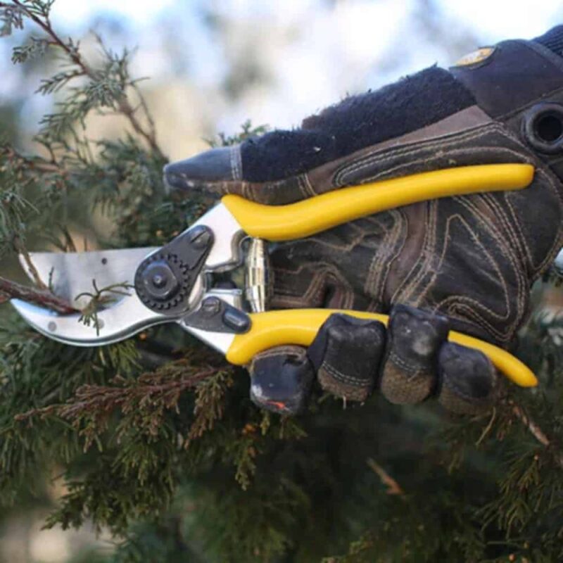 Wicked Hand Pruner