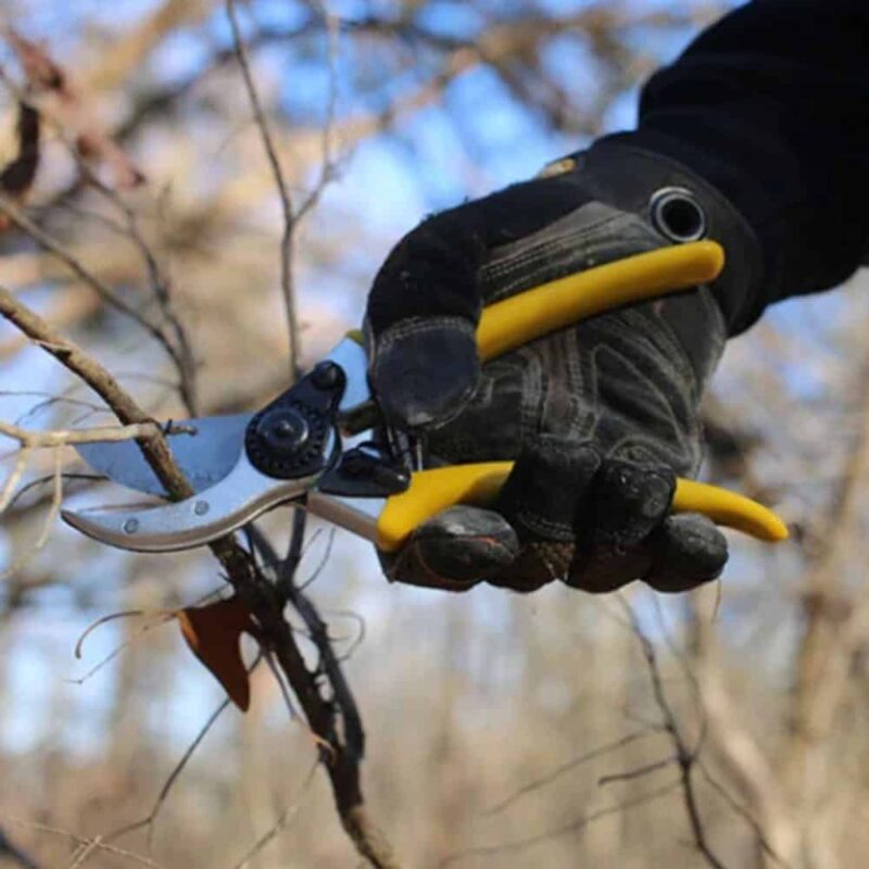 Wicked Hand Pruner