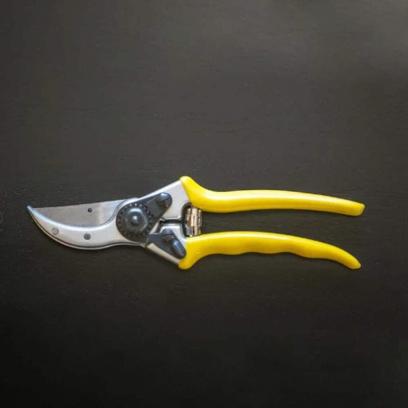 Wicked Hand Pruner